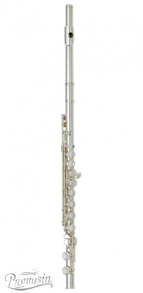 Standard Flute PFL-201