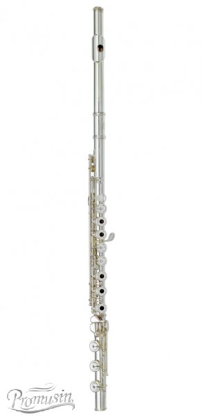 Wind instrument長笛Handmade Professional Model Flutes PFL-728