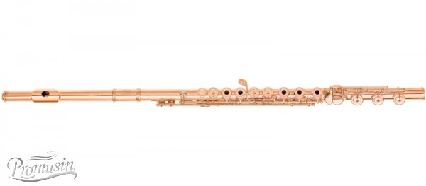 Handmade Professional Model Flutes PFL-748i