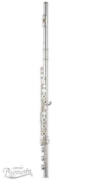 Wind instrument長笛Handmade Professional Model Flutes PFL-628